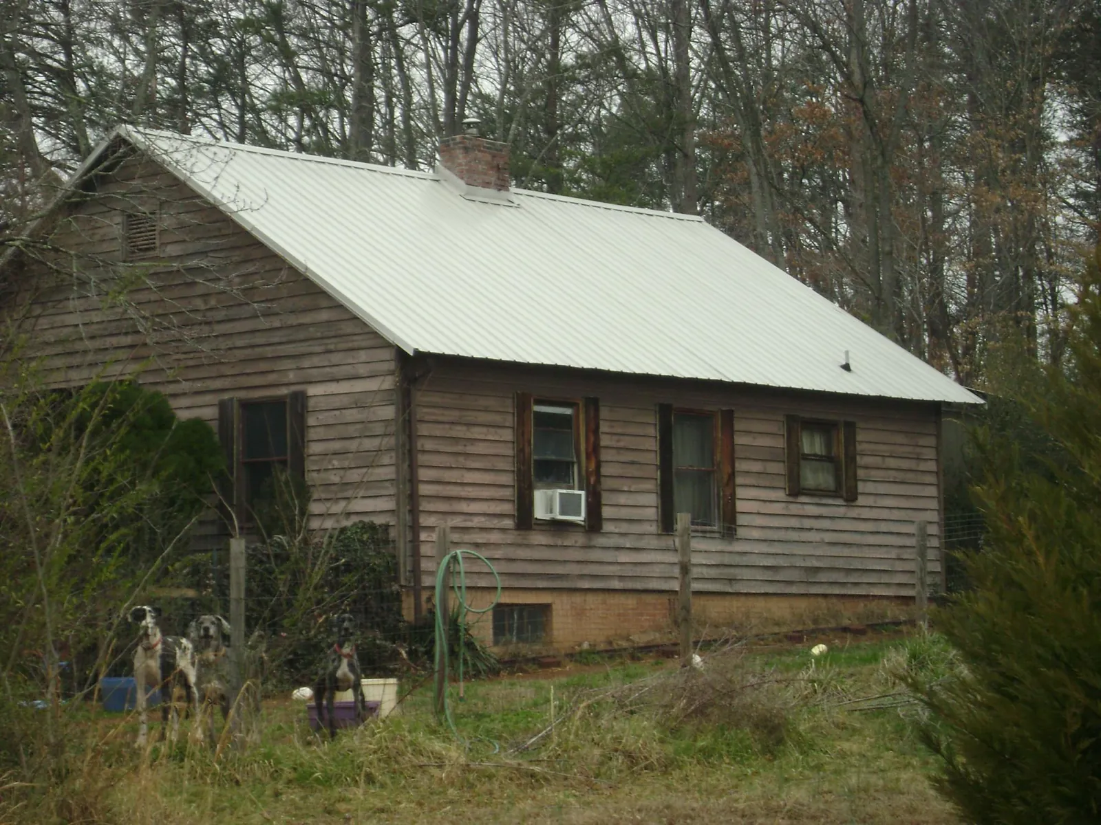 White metal roof on an old wood sided farmhouse, from a Asphalt Shingle Roof Repair job in Powell